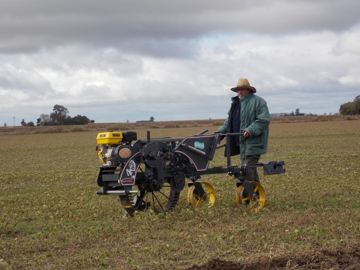 Las maquinas creadas con sello argentino para cultivos regionales